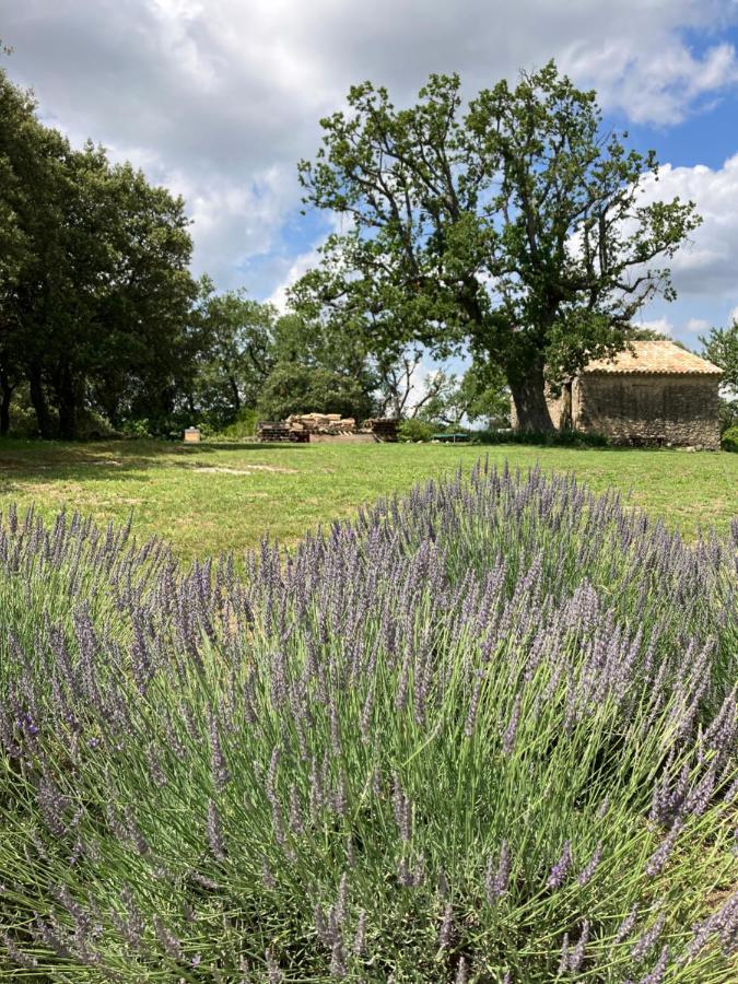 Vernegues La Bastide Des Roman 빌라 외부 사진